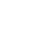 Immediate Zenith  - LEADING STRATEGIES